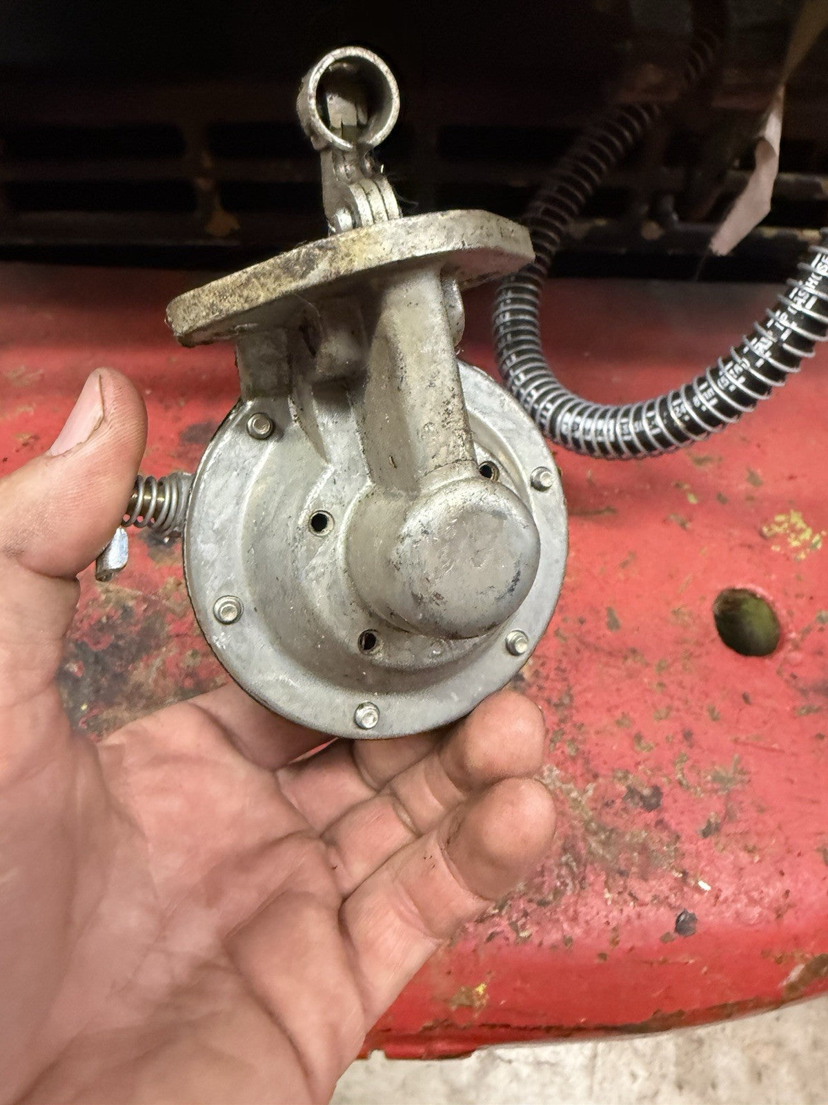 47288364