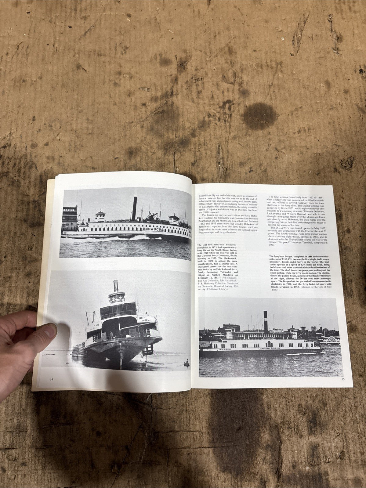 45318014