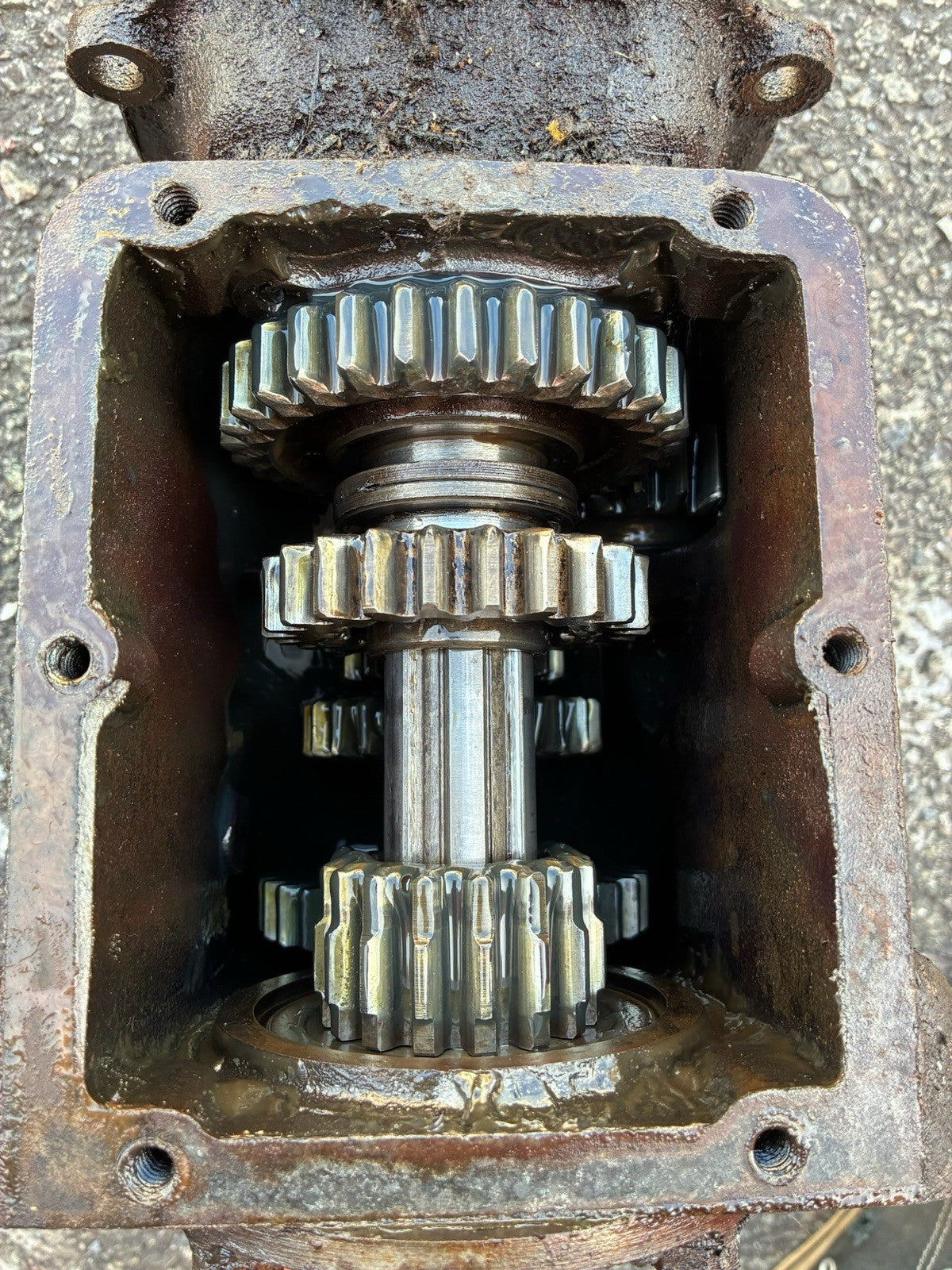 47893629