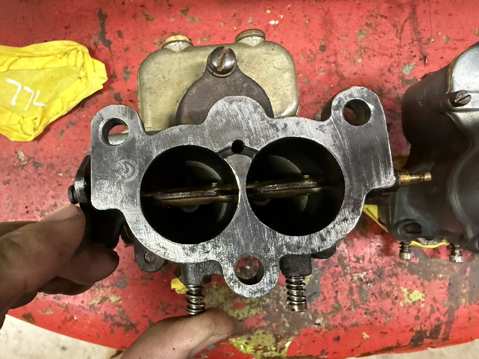 47029923