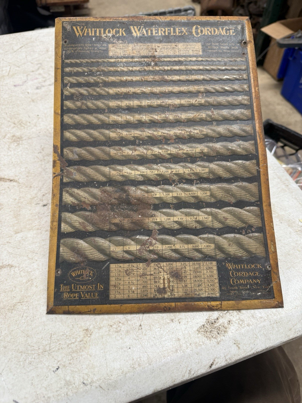 46898817