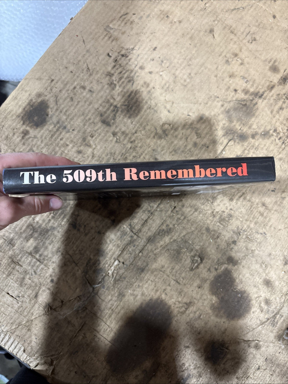 45318013