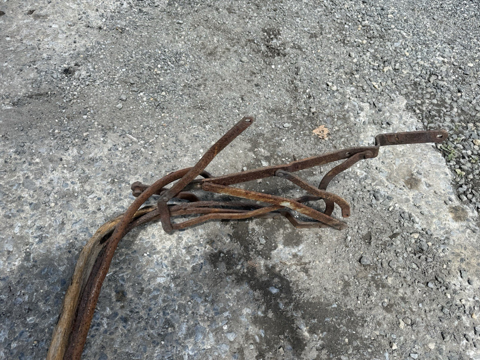 47550314