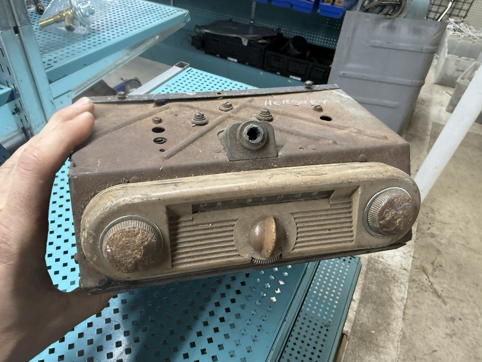 47063481