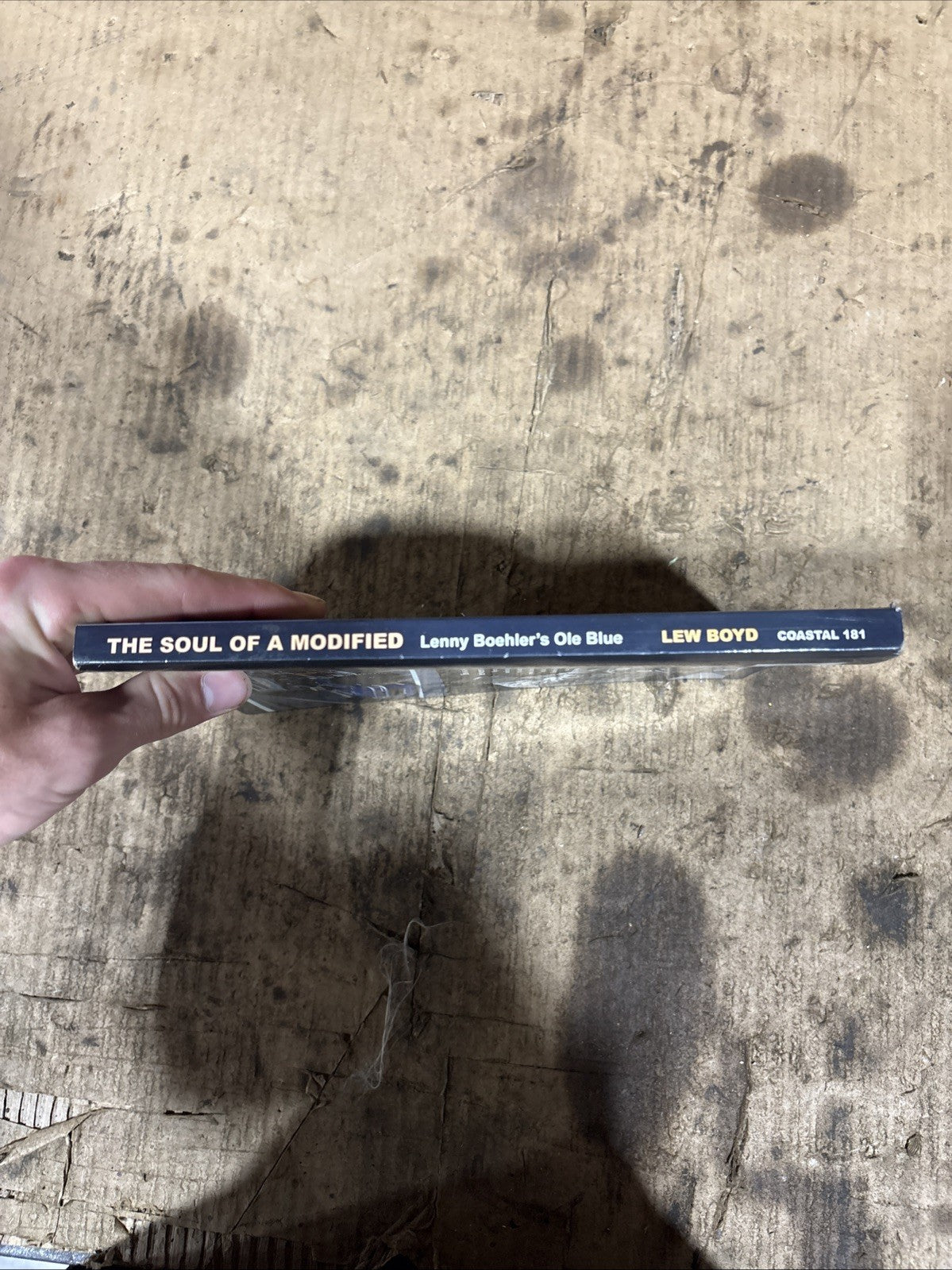45318043