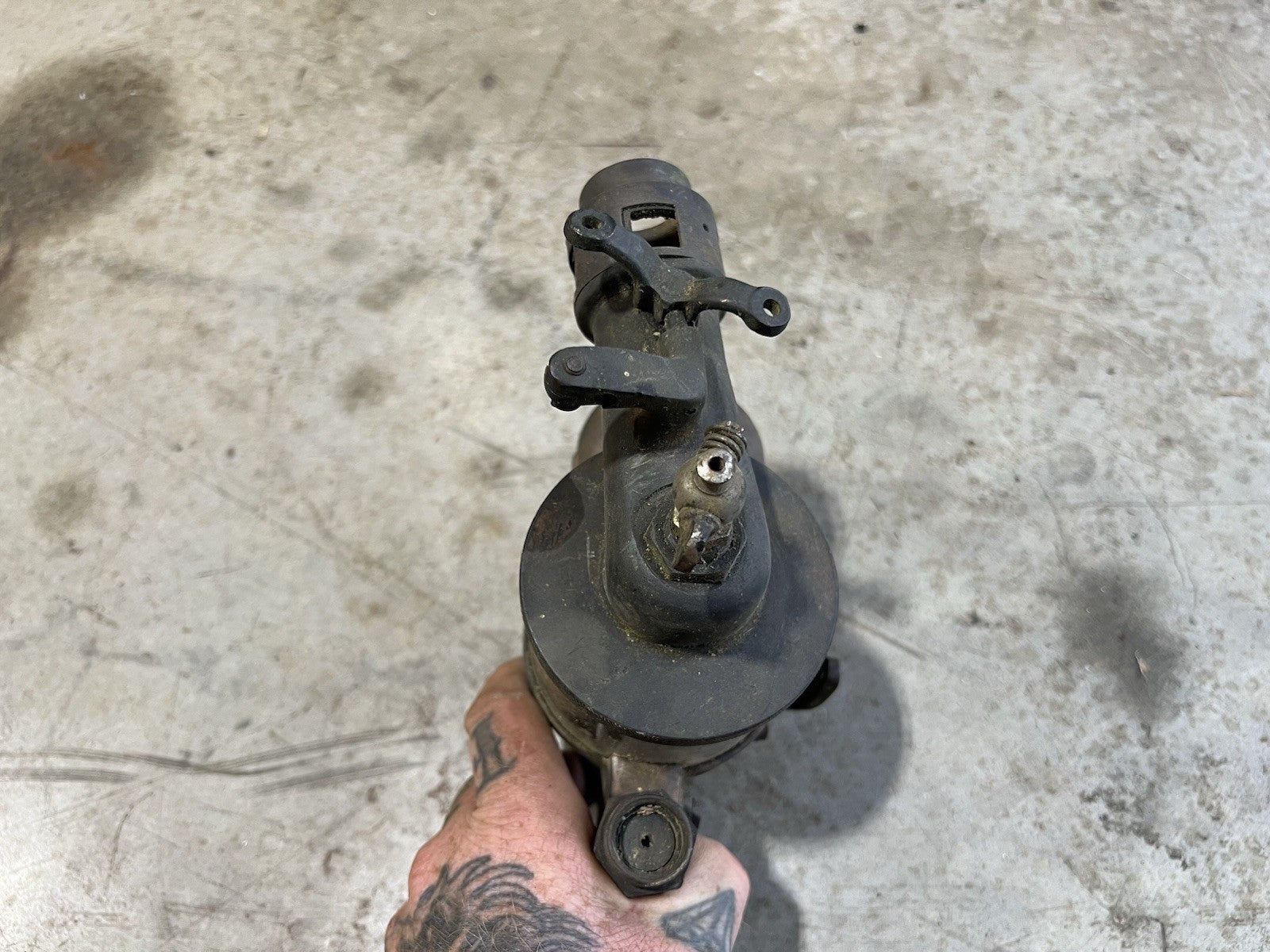 44975116