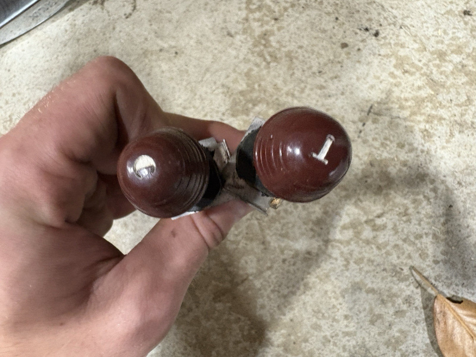 45589196