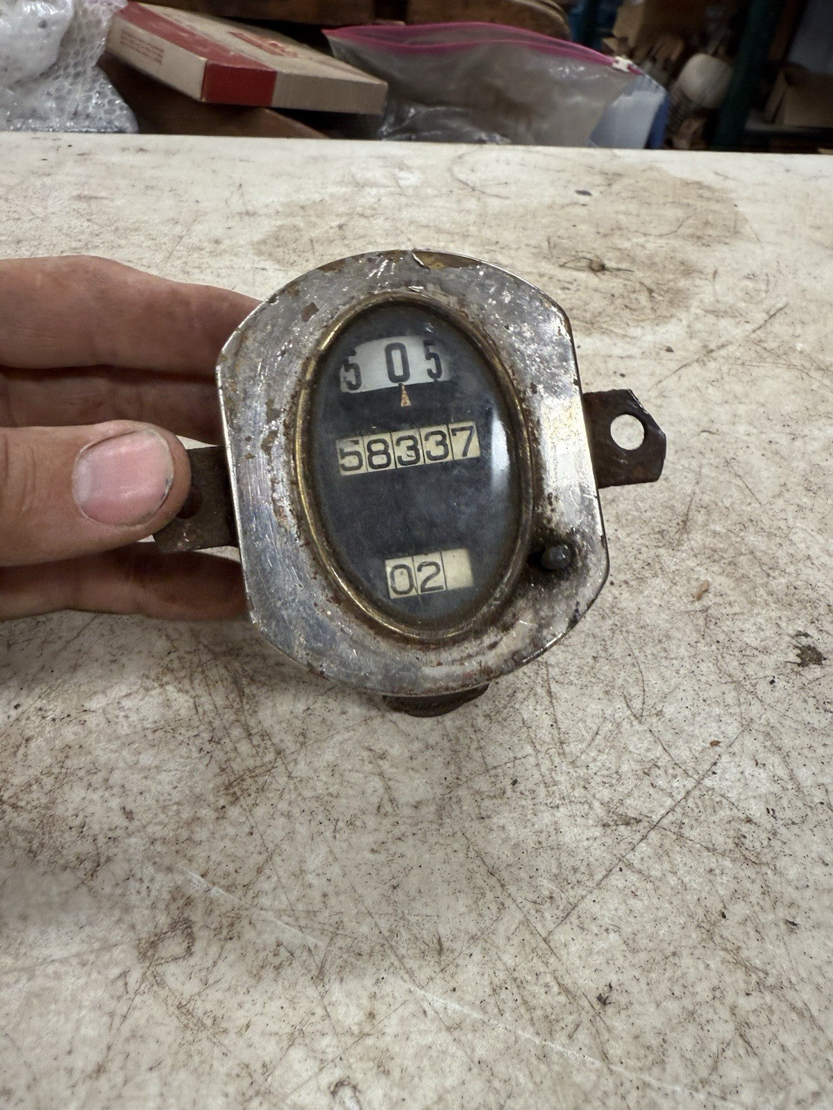 45665043